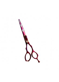 Professional Hair Cutting Scissors